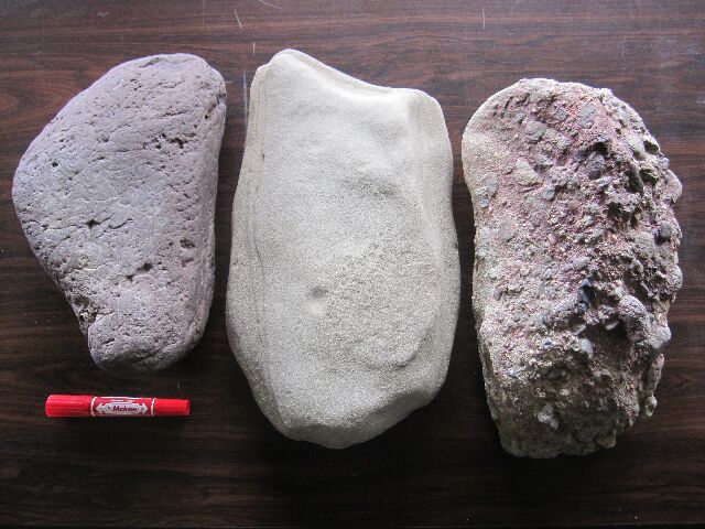堆積岩標本